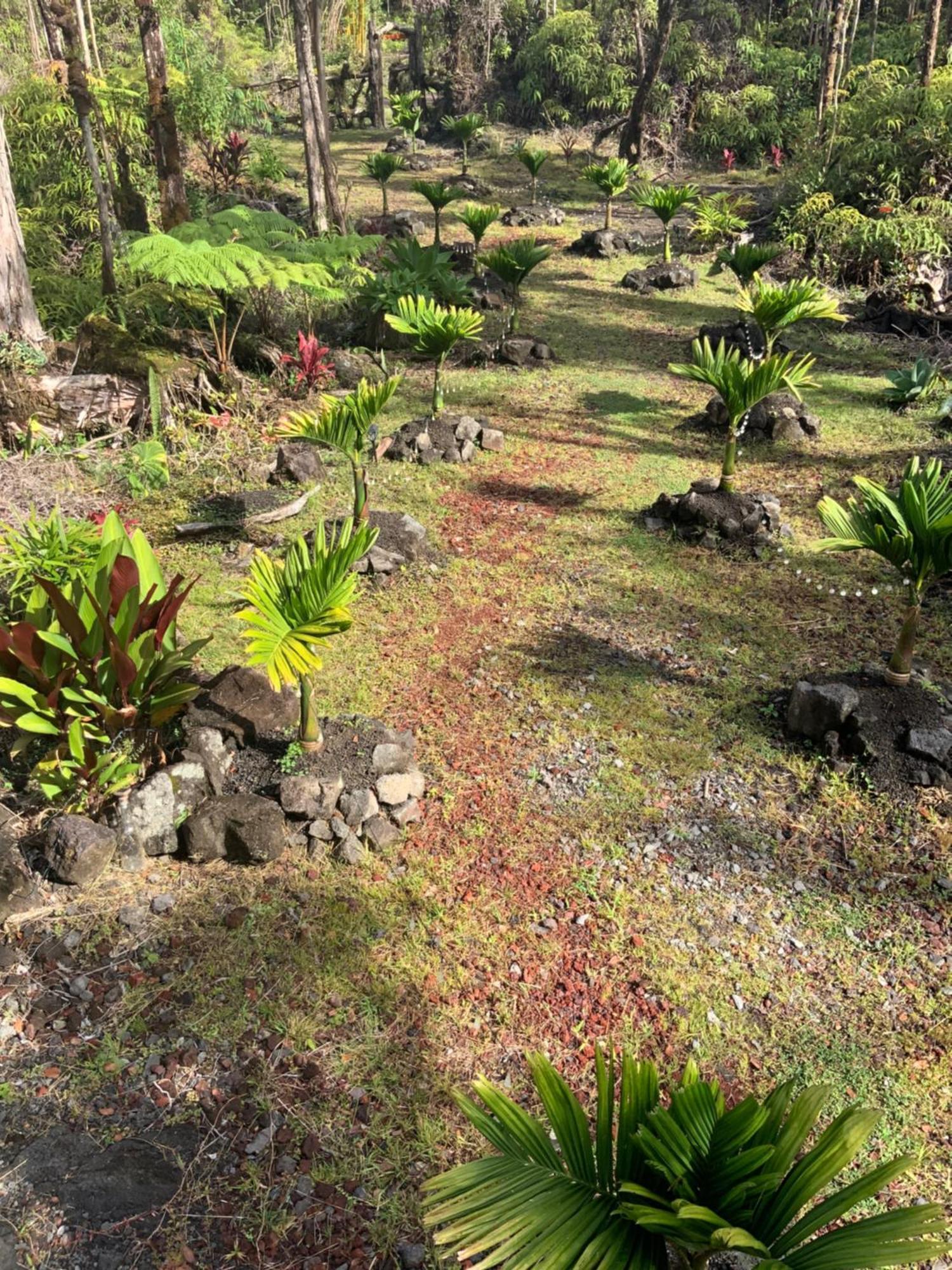 Exotic Garden Cottage At Amazing Volcano Fissure Mountain View Exterior foto