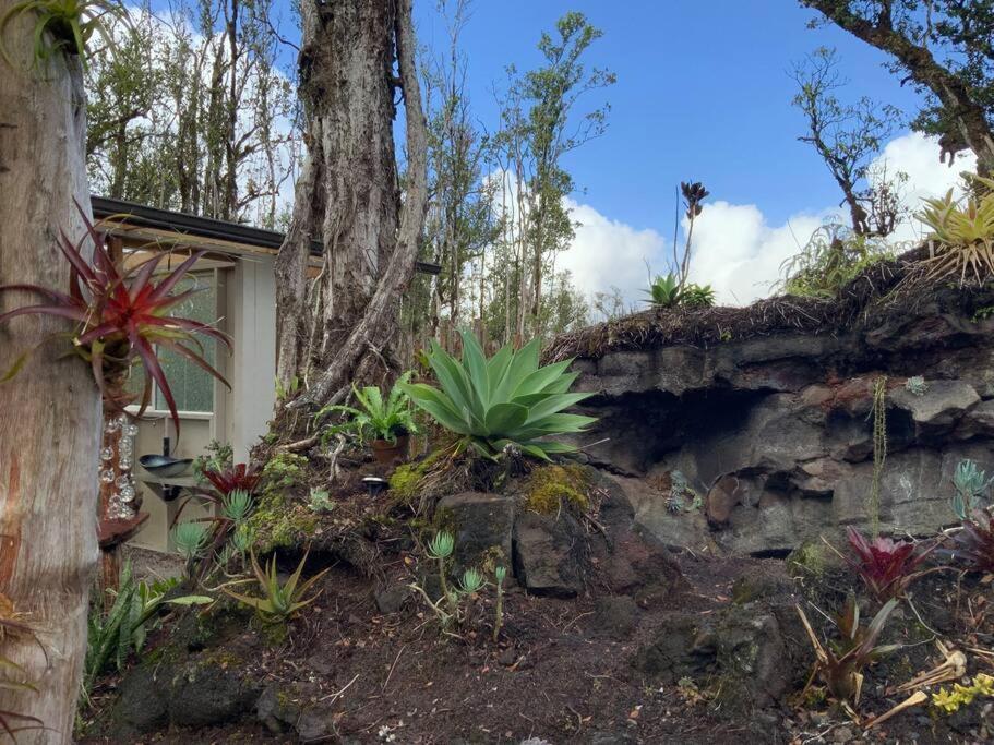 Exotic Garden Cottage At Amazing Volcano Fissure Mountain View Exterior foto