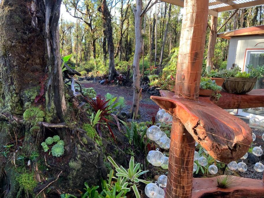 Exotic Garden Cottage At Amazing Volcano Fissure Mountain View Exterior foto