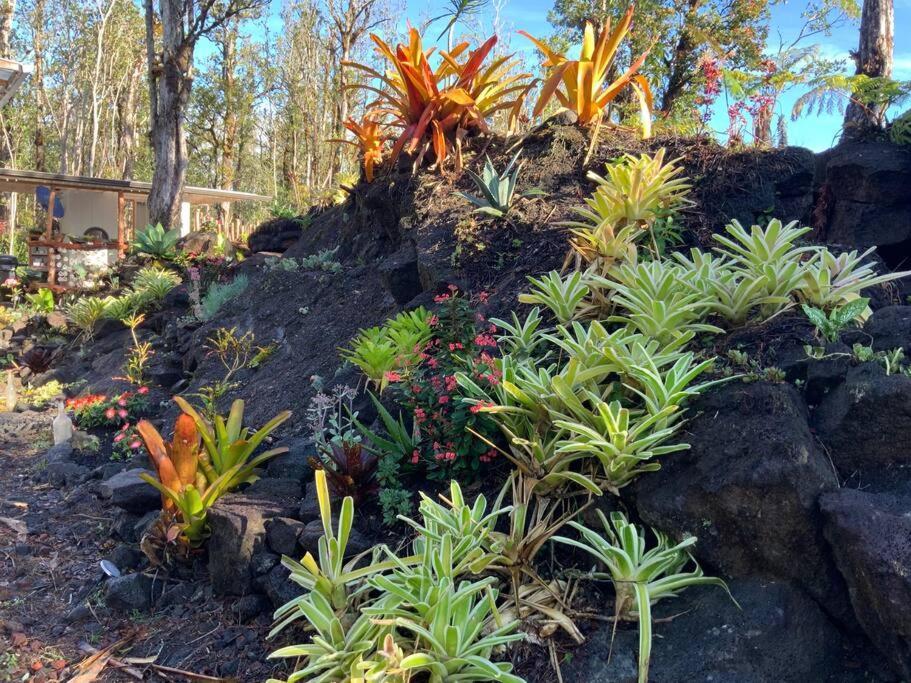 Exotic Garden Cottage At Amazing Volcano Fissure Mountain View Exterior foto